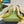 GC Embellished Slingback Acid Green Patent Leather 294622