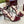 HIGH SANDAL 10 CM IN BERRY RED GLOSSY CALFSKIN