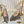 GC Crystal Horsebit Slingback 100mm Beige mix Blue Canvas lambskin 294619