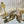 GC Crystal Horsebit Slingback 50mm Beige mix Ebony Canvas lambskin 294617