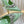 GC 2025 Crystal Embellished High Heels Slingbacks Green Silk Sheepskin 294525
