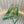 GC 2025 Crystal Embellished High Heels Slingbacks Green Silk Sheepskin 294525