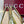 GC Signoria Slingback Pump Avocado Green Mesh Sheepskin 294522