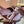 Miu 26s Bow Slippers Burgundy Leather 768202