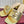 GC 25 Interlocking G Heeled Sandal Gold Patent Leather 294639