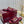 GC 25 Horsebit Sandals 10mm Red Suede Sheepskin 294649