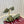 GC 25 Horsebit Sandals 50mm Dark Green Suede Sheepskin 294655