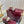 GC 25 Thong Sandal Red Canvas Sheepskin 294669