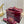 Sandali GC 25 Horsebit GG in tela rossa 294673