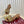 GC 25 Horsebit GG 50mm Sandals Brown Canvas 294678