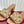 GC 25 Horsebit GG 50mm Sandals Brown Canvas 294678