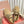 Miumiu 25 Loafer Beige Wool 548415