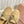 Miumiu 25 Loafer Beige Wool 548415