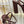 Miu 26s Platform Ankle Strap Sandals 120mm In Dark Brown Suede With Bow