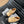 CC Ankle Boots Dark Beige Mix Black Calfskin  937064