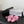 CC Strappy Sandals Pink Sheepskin 670384