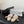CC Strappy Sandals Cream Suede Sheepskin 670388