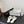 CC 26C Slippers Flat White Black Sheepskin 717798