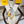 Foulard Fendi Gardening 90x90 Jaune Soie Sergée Colorée 204004
