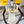 Foulard Fendi Gardening 90x90 Jaune Soie Sergée Colorée 204004