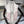 CD Jouy Scarf 90x90cm Light Pink White Silk Twill 209845