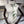 CD Lily Of The Valley Scarf 90x90cm White Silk Twill 209856