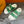 LV DAD SANDAL JADE GREEN MONOGRAM CALFSKIN