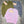 MIUMIU CARDIGAN STYLE 413
