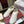 GG G75 Sneaker White Suede Mesh 818357