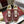 GG G75 Sneaker Burgundy Suede Mesh 818353