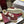 GG G75 Sneaker Burgundy Suede Mesh 818353