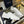 CD 26s B01 Matchpoint Sneaker White Calfskin 924613