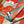HM Elegant Knight 140 CM Orange Cashmere and Silk 293098