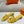 0ASIS SANDAL YELLOW CALFSKIN CLASSIC
