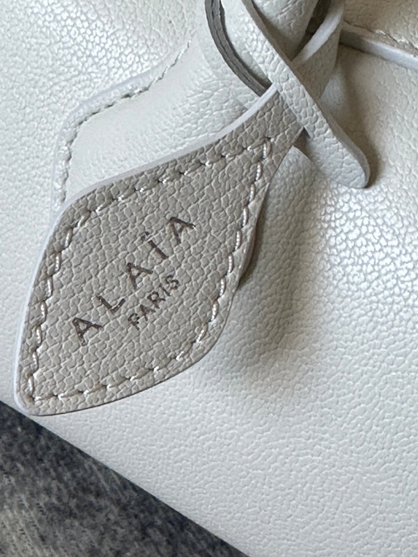 LE TECKEL SMALL BAG 27 IN PLATINUM GOATSKIN