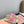 Miu slippers Light Brown With Pink Lettering Pure Wool