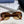 ROUND FRAME SUNGLASSES 567450 IN ACETATE