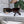 GLIMPSE SUNGLASSES 576820 IN HAVANA ACETATE