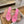 CL Tatooshka Spikes Mule 8.5cm Hot Pink Nappa Leather 776043