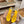 CL Tatooshka Spikes Sandal 10cm Yellow Nappa Leather 776047