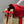 HM KELLY 22 PICNIC ROSSO BAMBÙ E RATTAN