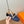 Infinie 50 pump navy
