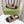 GG  Rubber Sole Logo Sandals Brown Caro