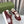 GG INTERLOCKING G SNEAKER WINE SUEDE