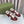 GG INTERLOCKING G SNEAKER WINE SUEDE
