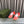 GG SCREENER SNEAKER WITH WEB ORANGE RED CALFSKIN