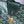Saint Louis GM Bag 40cm In Green Canvas Chevroches Calfskin