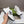 GG Men's 25 Sneaker White Sheepskin 524266