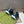 GG Men's 25 Sneaker Black Blue Mesh 743035