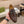 Mocassino con nappine da uomo GG in pelle di vacchetta goffrata marrone 573362